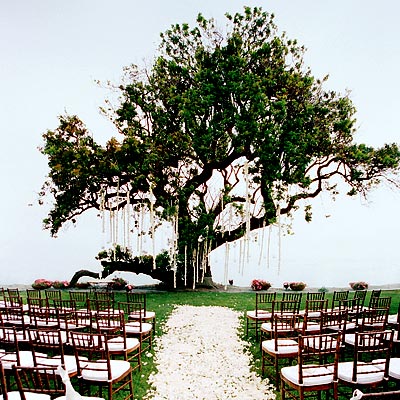 Simple Outdoor Wedding Ideas