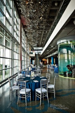 aquarium wedding venue